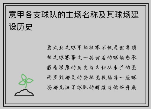 意甲各支球队的主场名称及其球场建设历史