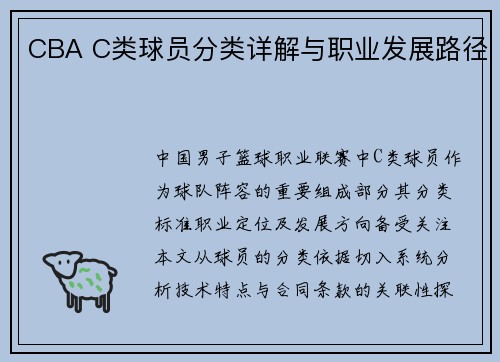 CBA C类球员分类详解与职业发展路径